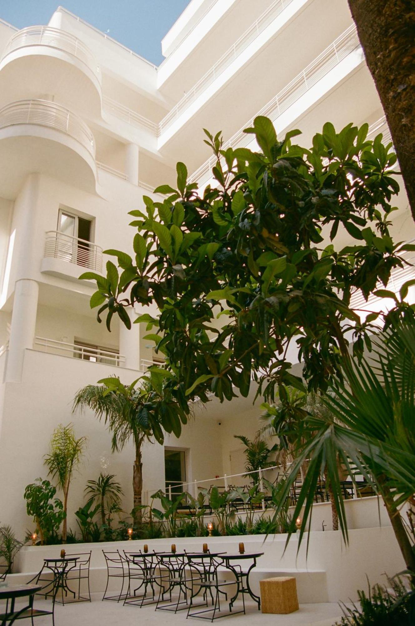 Apollo Palm Hotel Ateny Zewnętrze zdjęcie